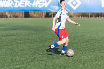 Bild 339 - F Hamburger SV 3 - Blau-Weiss 96 : Ergebnis: 5:1
